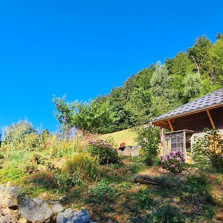 Chambre D'Hotes L'Aire Du Temps Savoyard Ugine Zewnętrze zdjęcie